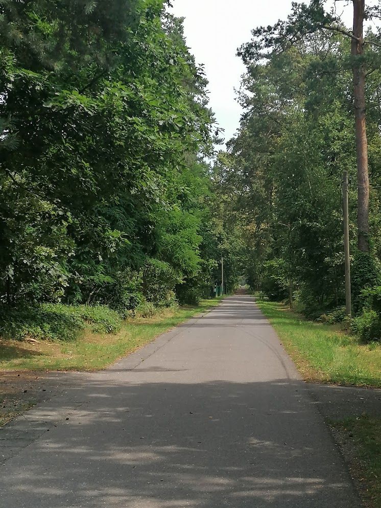 Waldweg