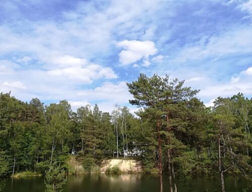 Königssee Dübener Heide