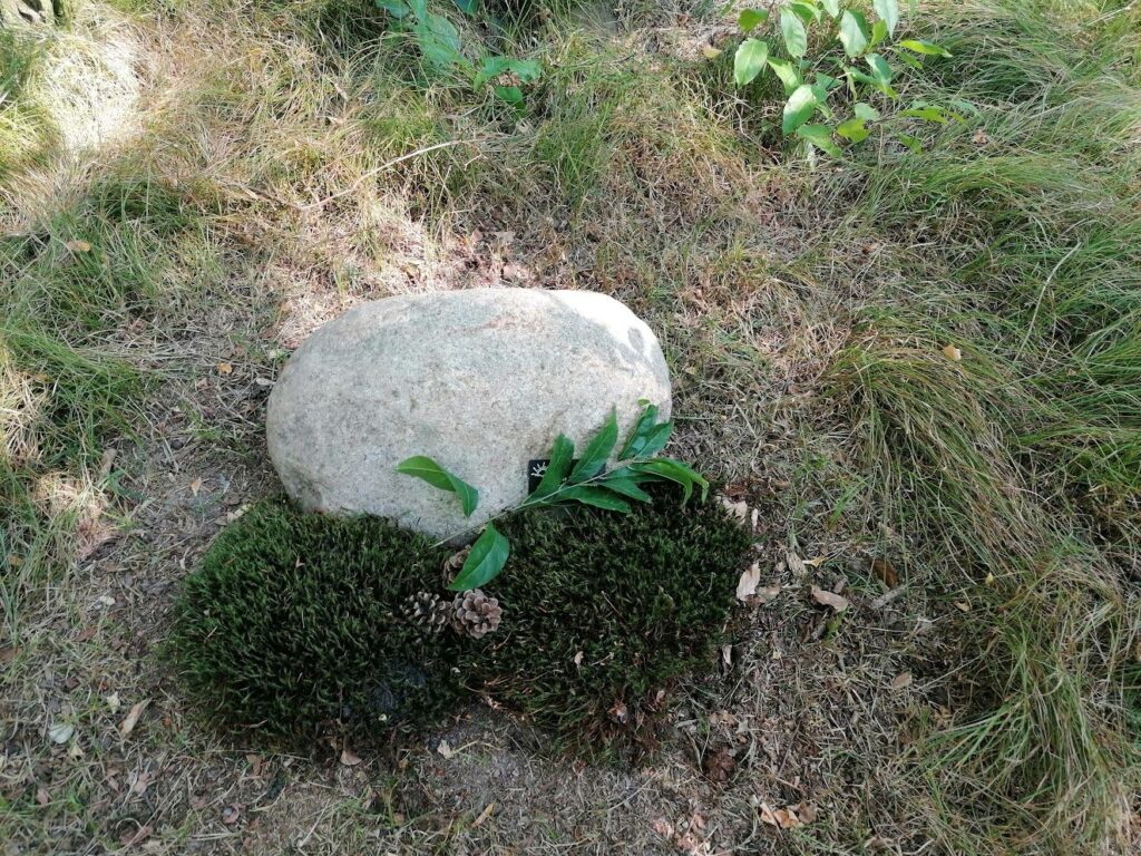 Stein mit Moos im Ruheforst