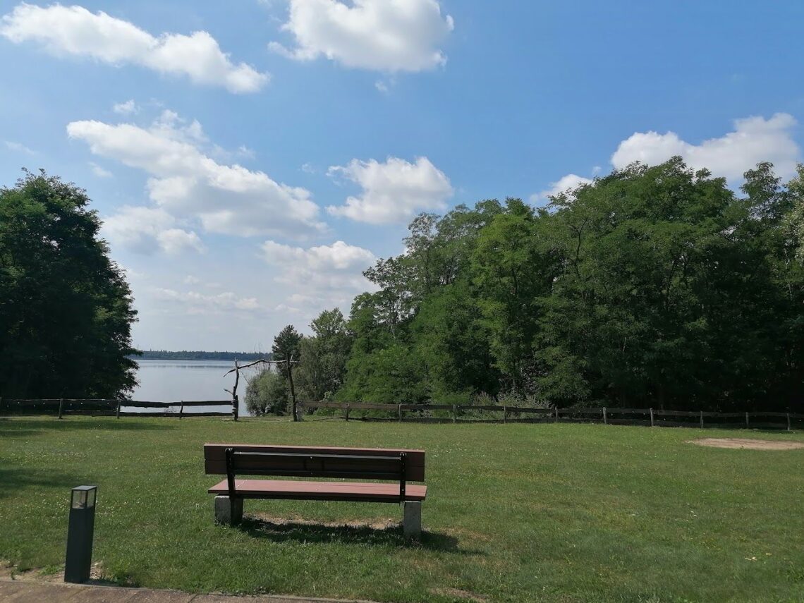 Am Muldestausee in der Dübener Heide