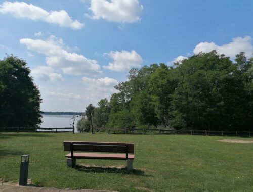 Am Muldestausee in der Dübener Heide