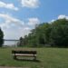 Am Muldestausee in der Dübener Heide