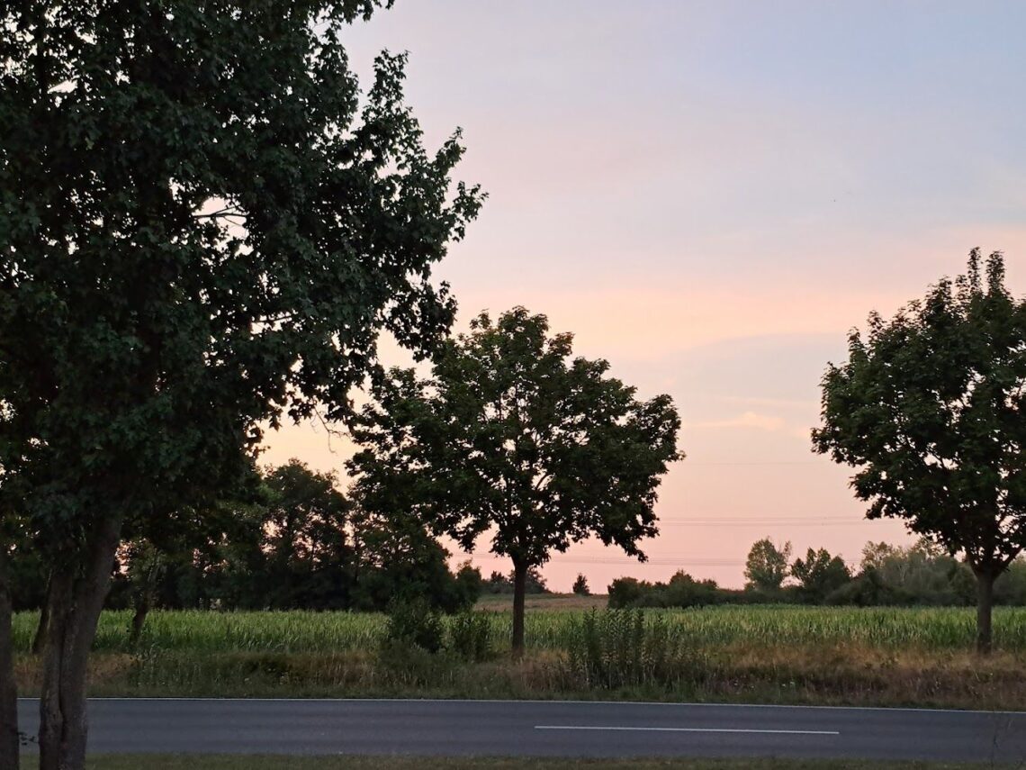 Landstraße bei Wellaune