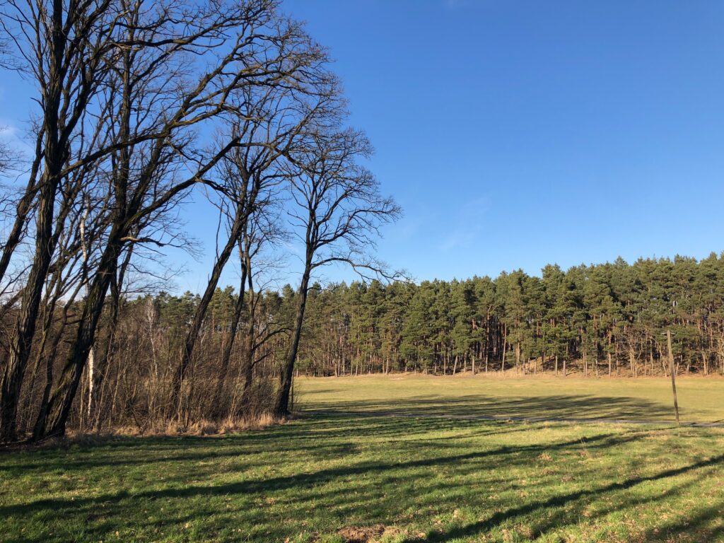 Wald Schloss Reinharz