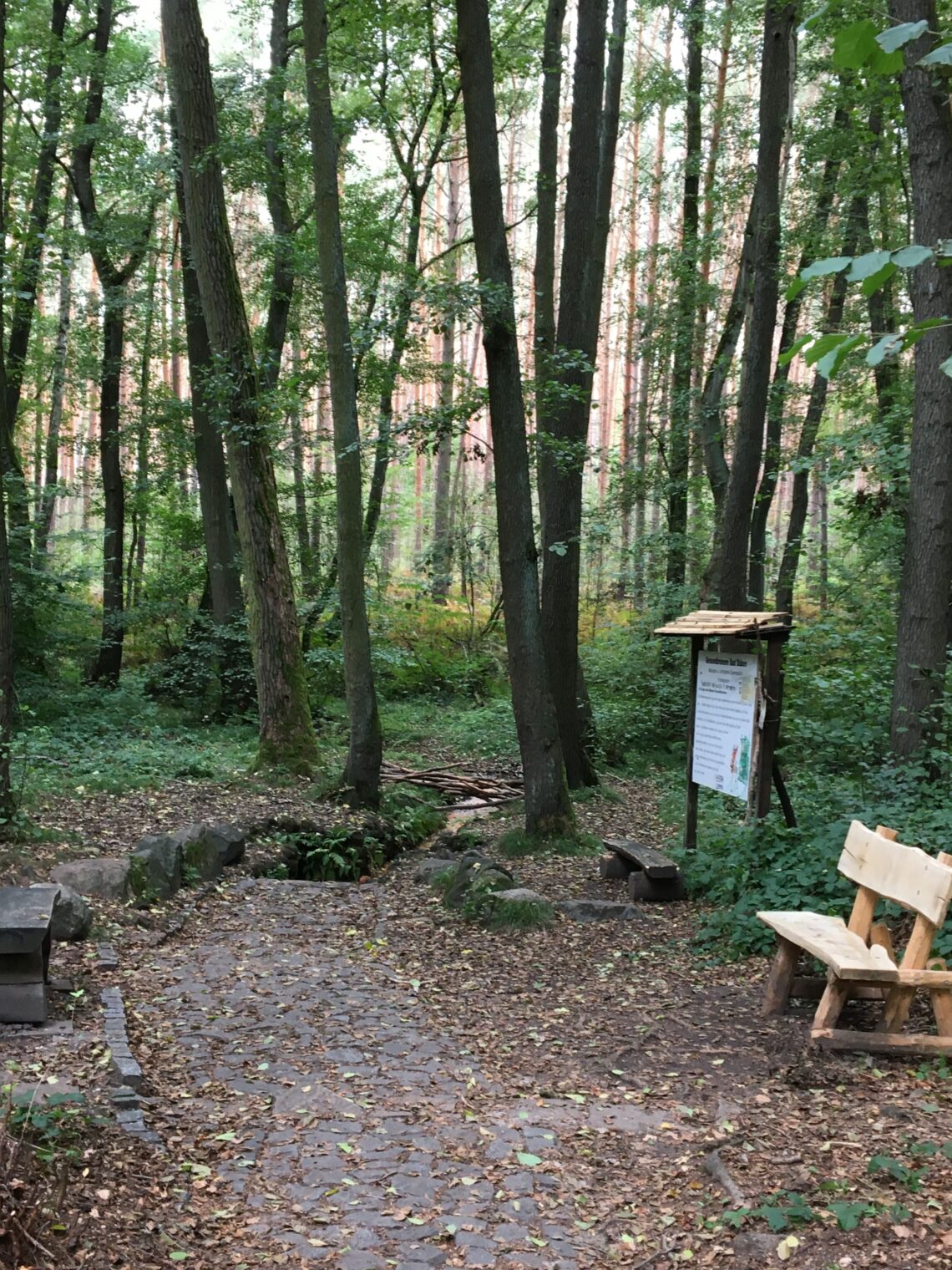 Gesundbrunnen Dübener Heide